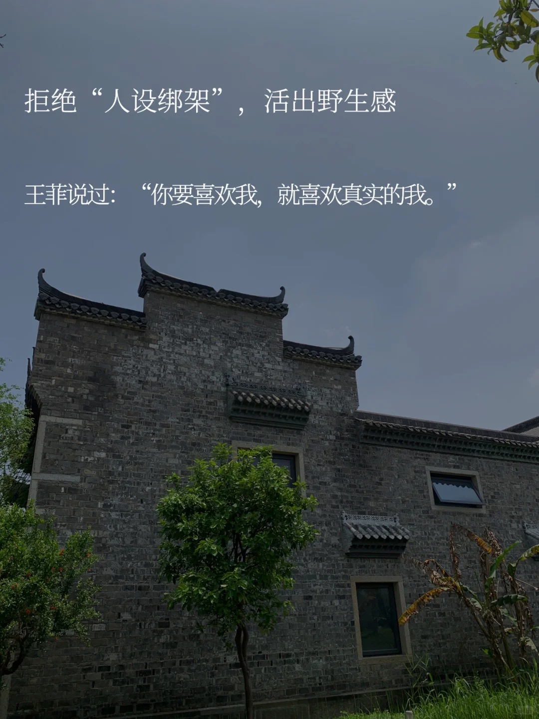 取悦自己｜我不需要你的满意