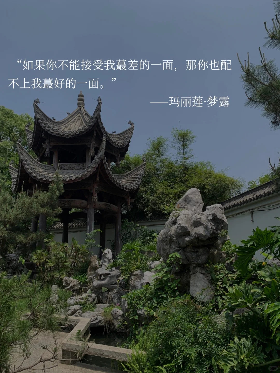 取悦自己｜我不需要你的满意