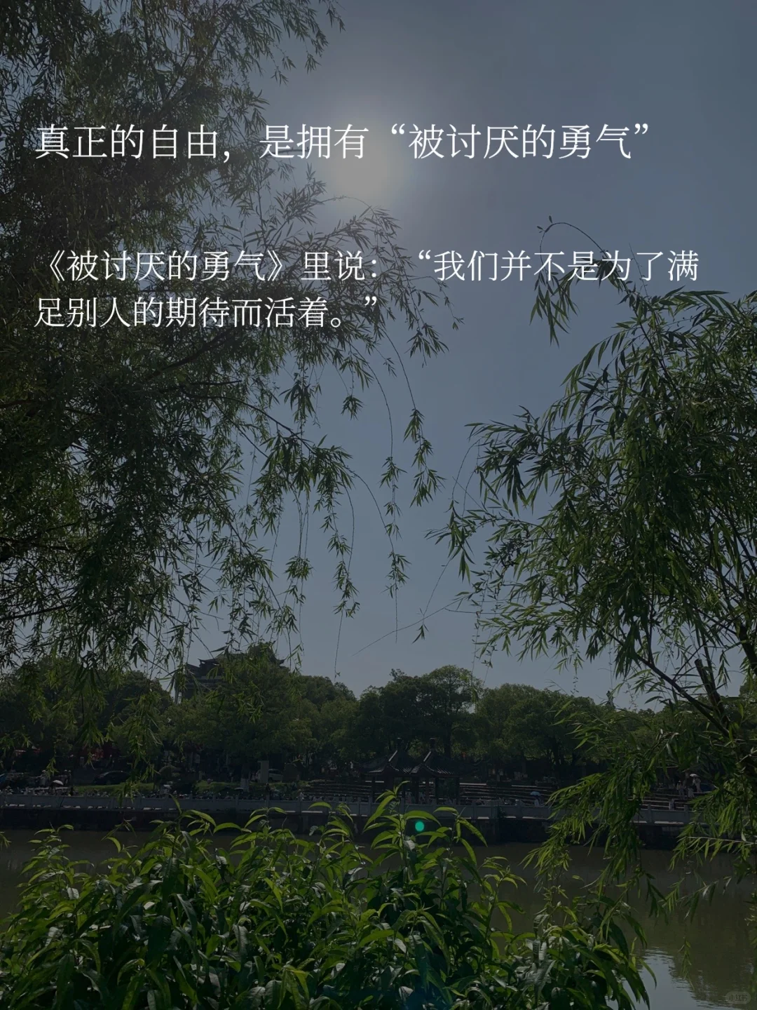 取悦自己｜我不需要你的满意