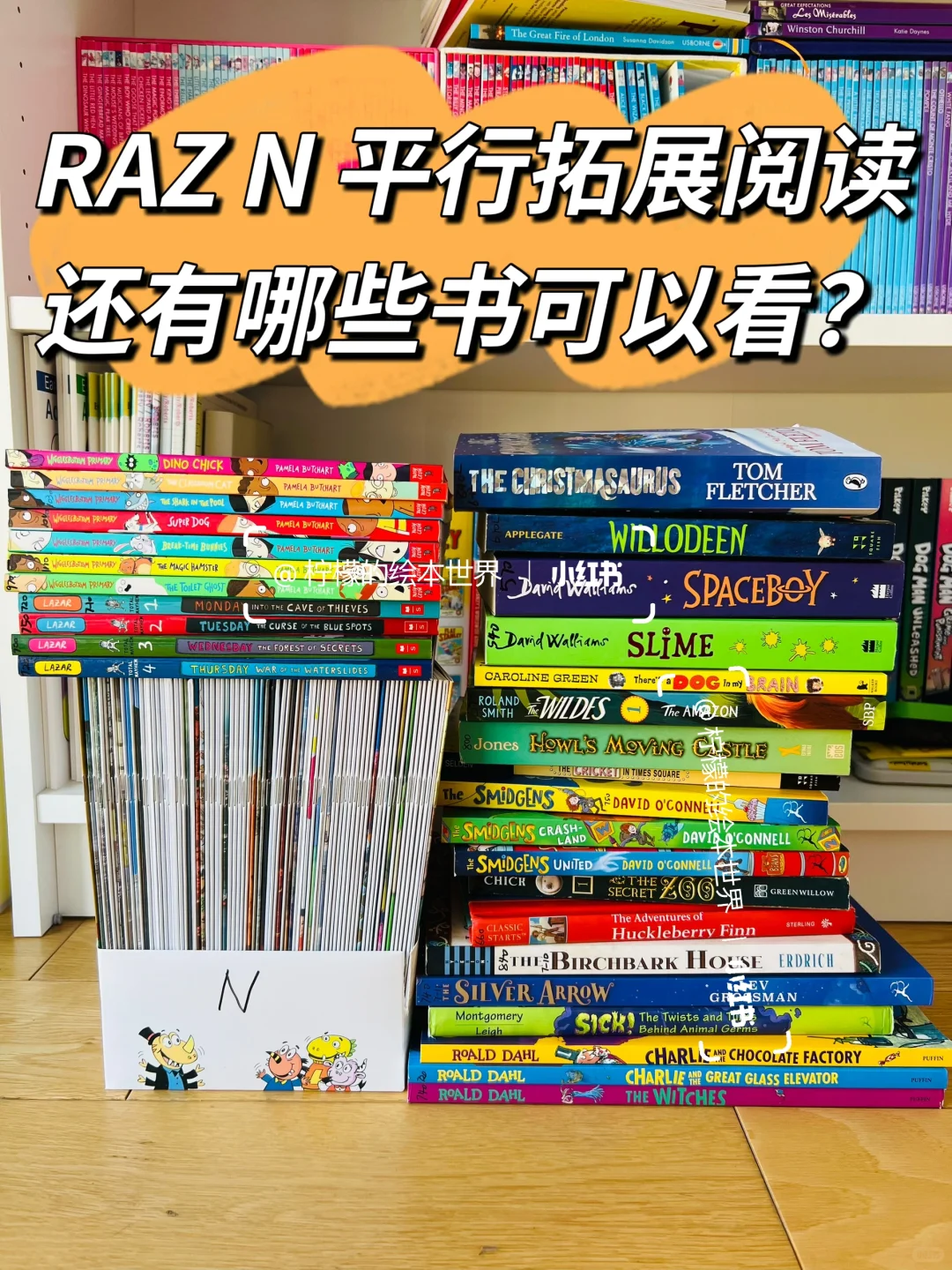 RAZ N平行拓展阅读，还有哪些书可以看？