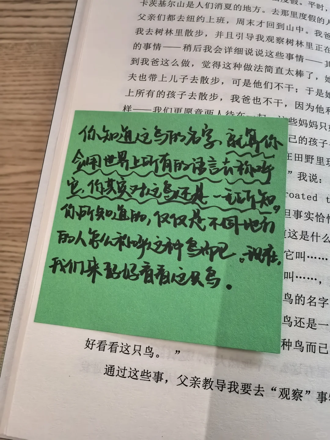 阅读1️⃣3️⃣5️⃣ | 发现的乐趣