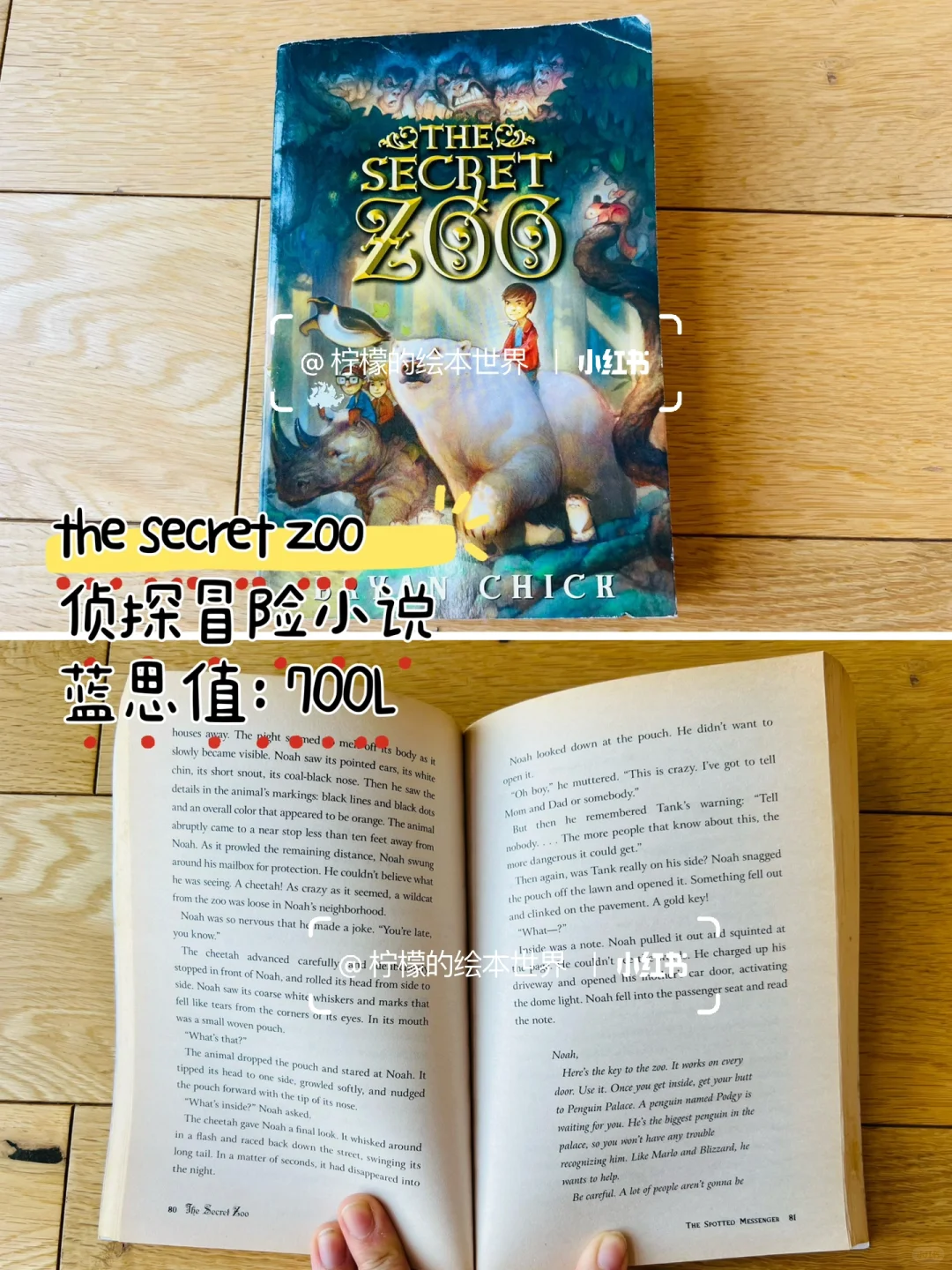 RAZ N平行拓展阅读，还有哪些书可以看？