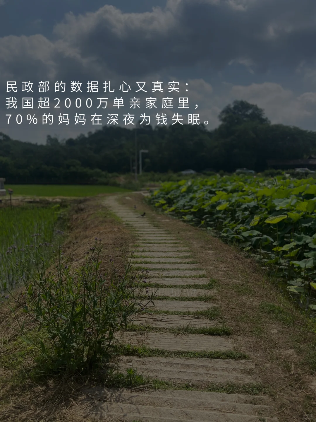 单亲妈妈必看｜焦虑没用，搞钱才是解药