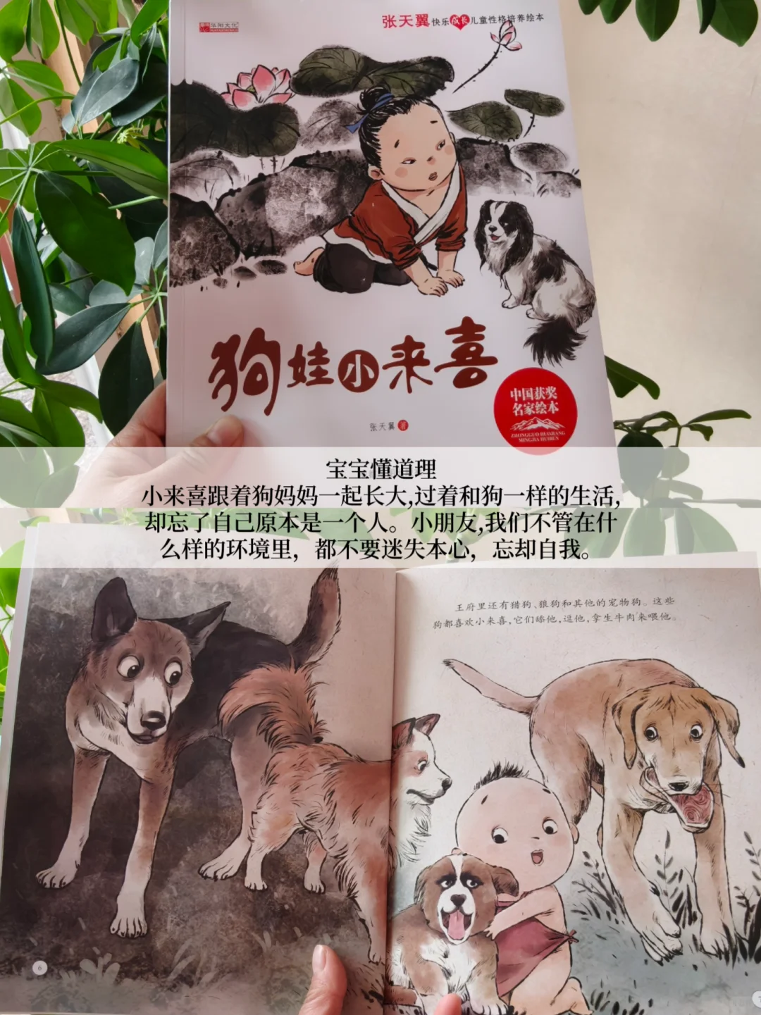 书香八桂，桂在阅读，世界读书日🔥