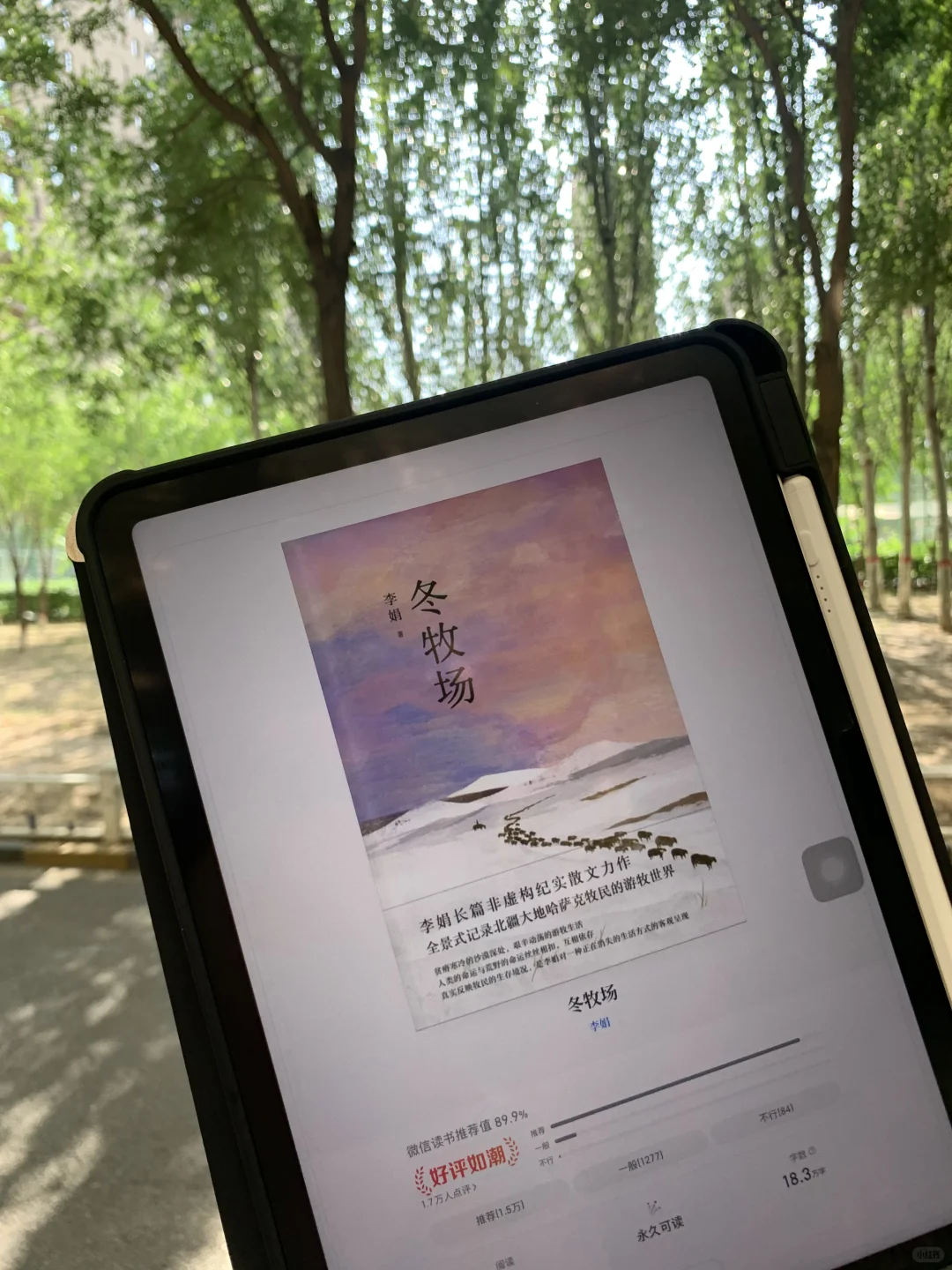 😭谁懂啊！电子书自由的快乐，ipad秒变图书馆