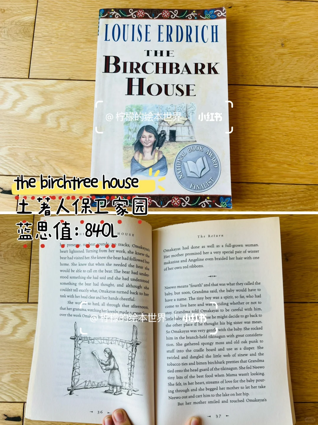 RAZ N平行拓展阅读，还有哪些书可以看？
