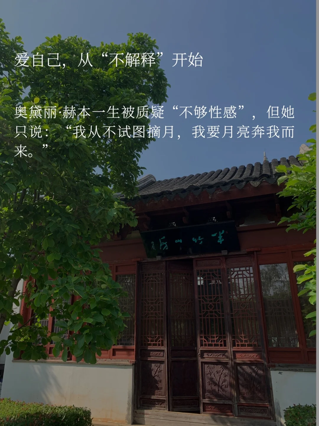 取悦自己｜我不需要你的满意