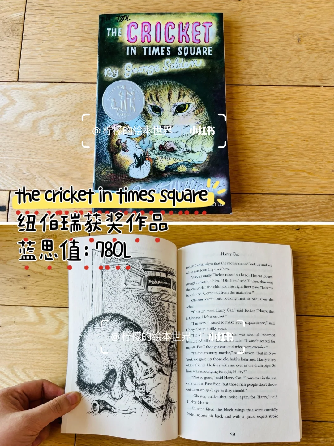 RAZ N平行拓展阅读，还有哪些书可以看？