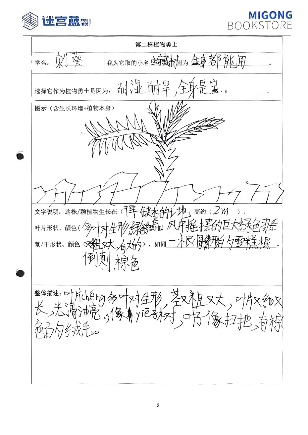 三年级的阅读单已经这么难了吗？