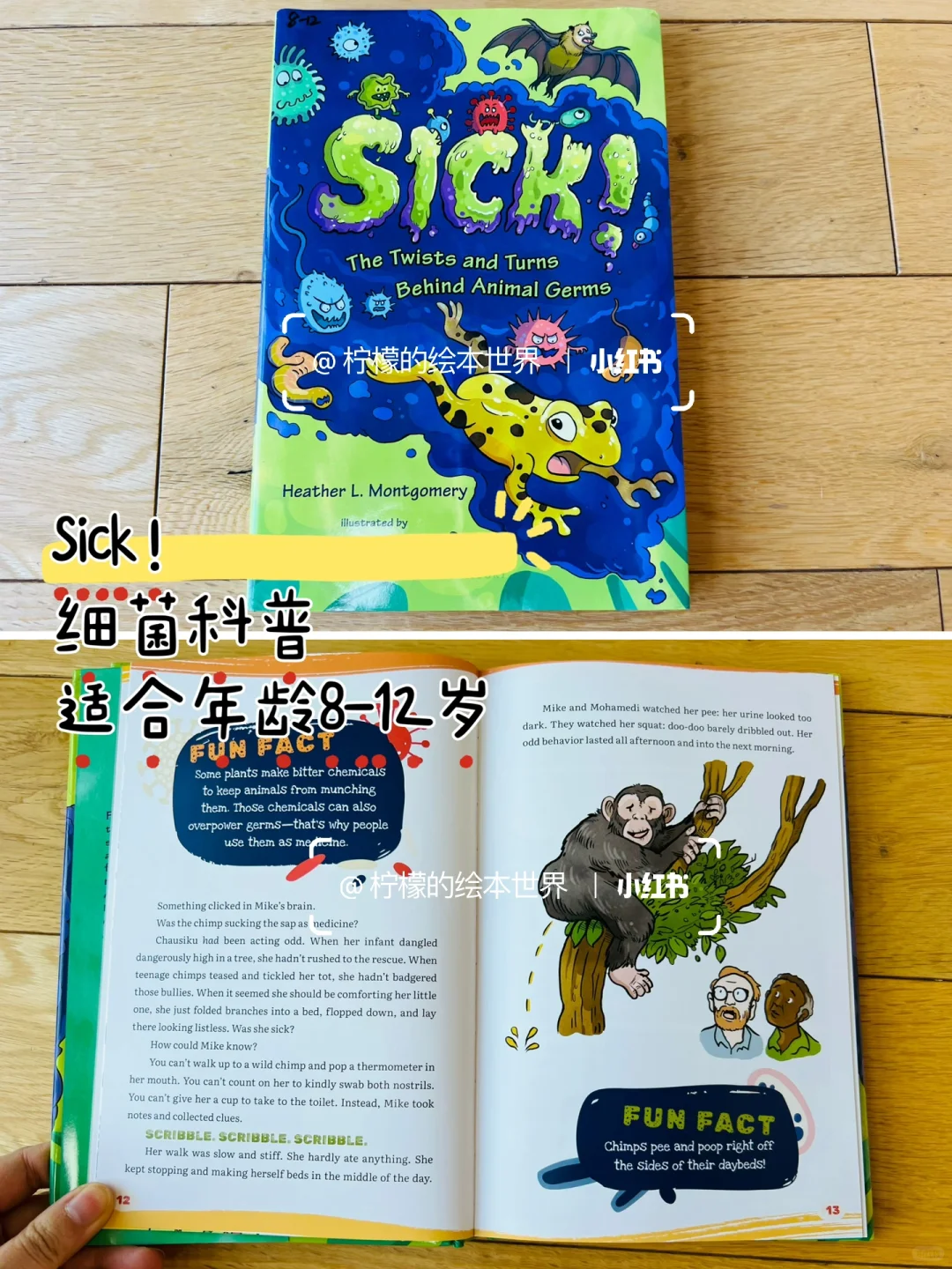 RAZ N平行拓展阅读，还有哪些书可以看？
