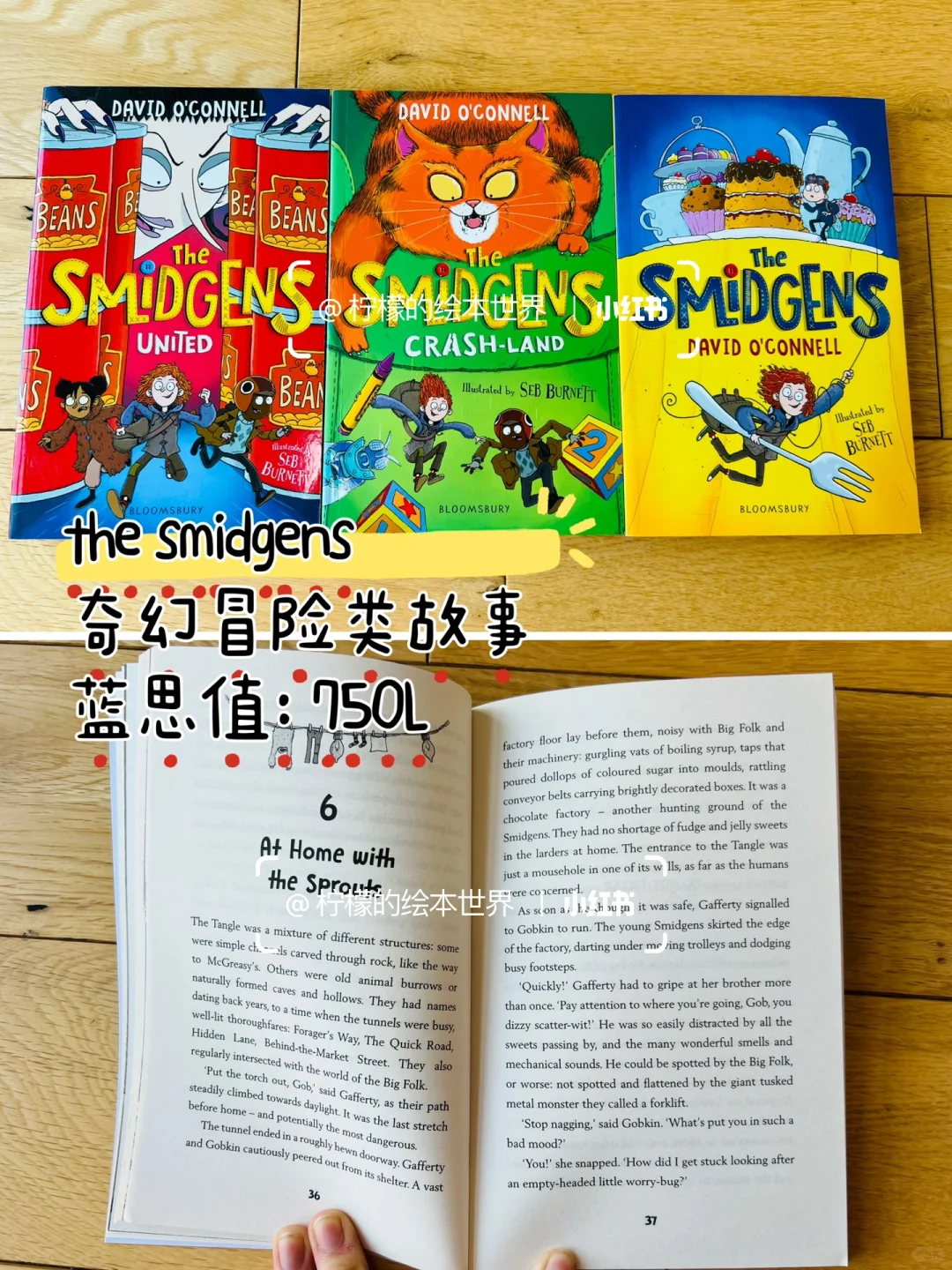 RAZ N平行拓展阅读，还有哪些书可以看？