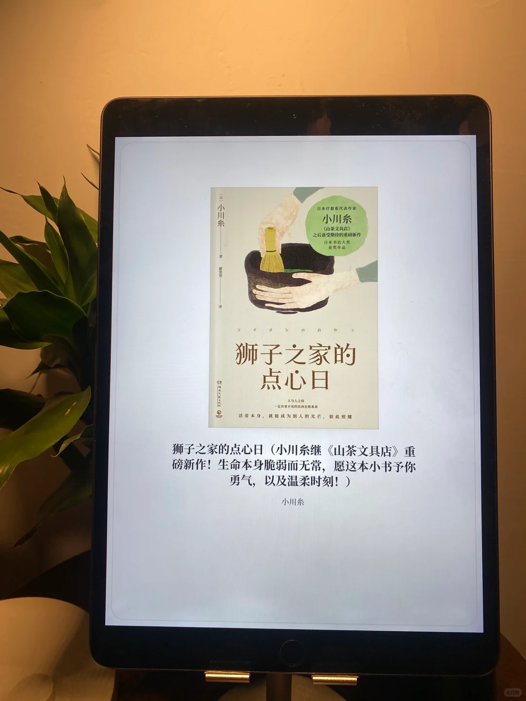 📚 2025过半，是谁还不会用微信读书app实现