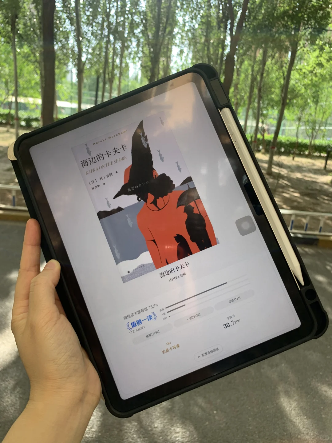 😭谁懂啊！电子书自由的快乐，ipad秒变图书馆