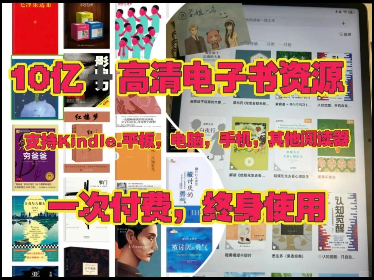 普通人拥有10亿的电子书资源库书什么体验