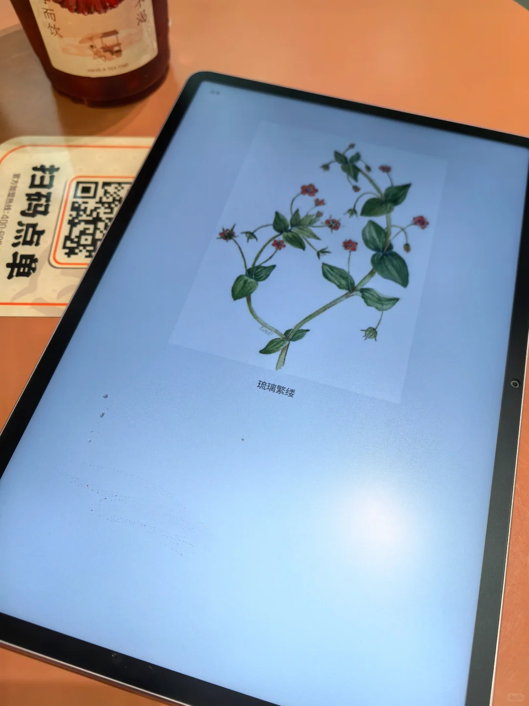 跟风买的❗没想到这个电子书库这么好用！！