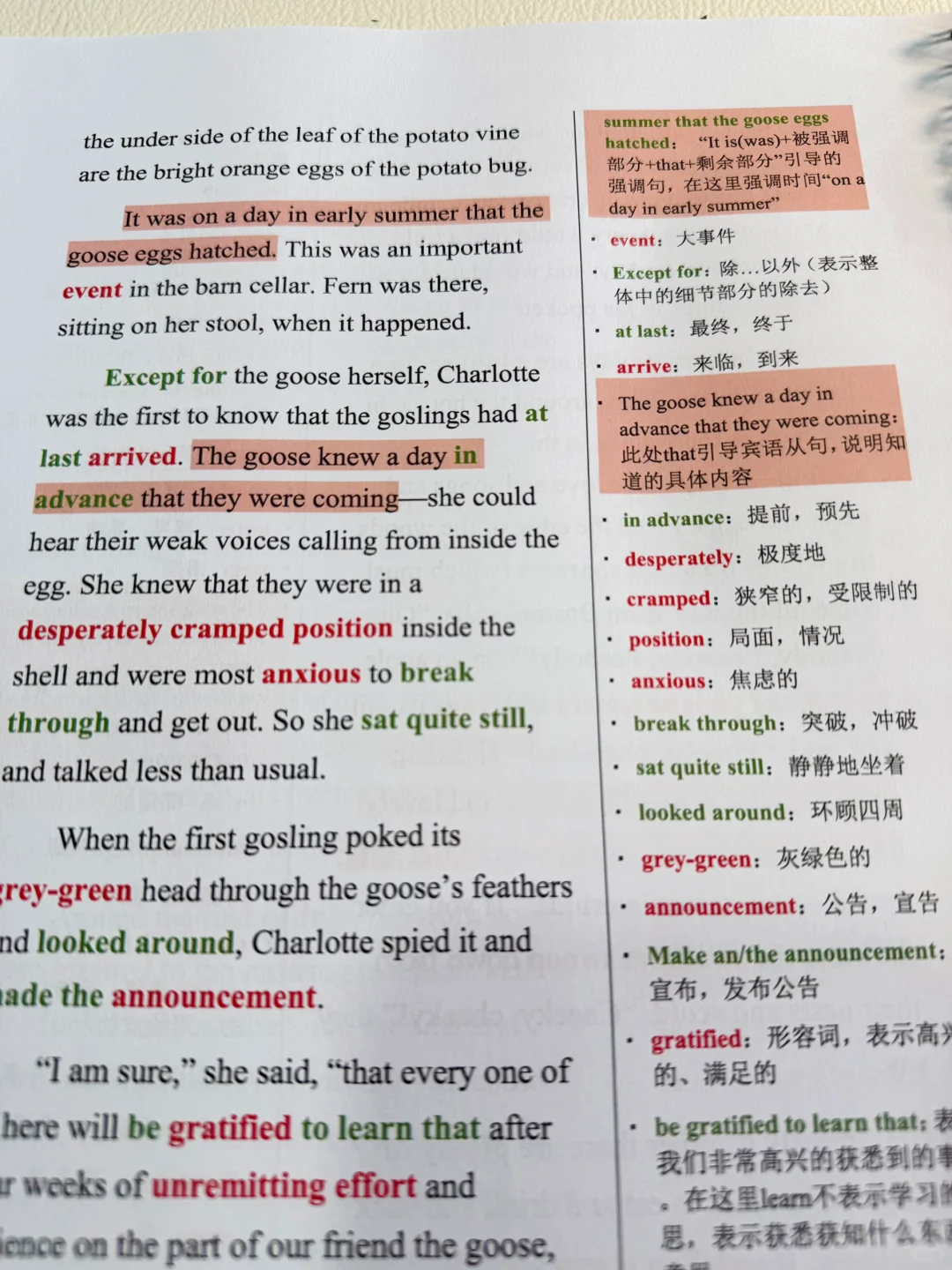 小小的网，大大美好，那是《夏洛的网》