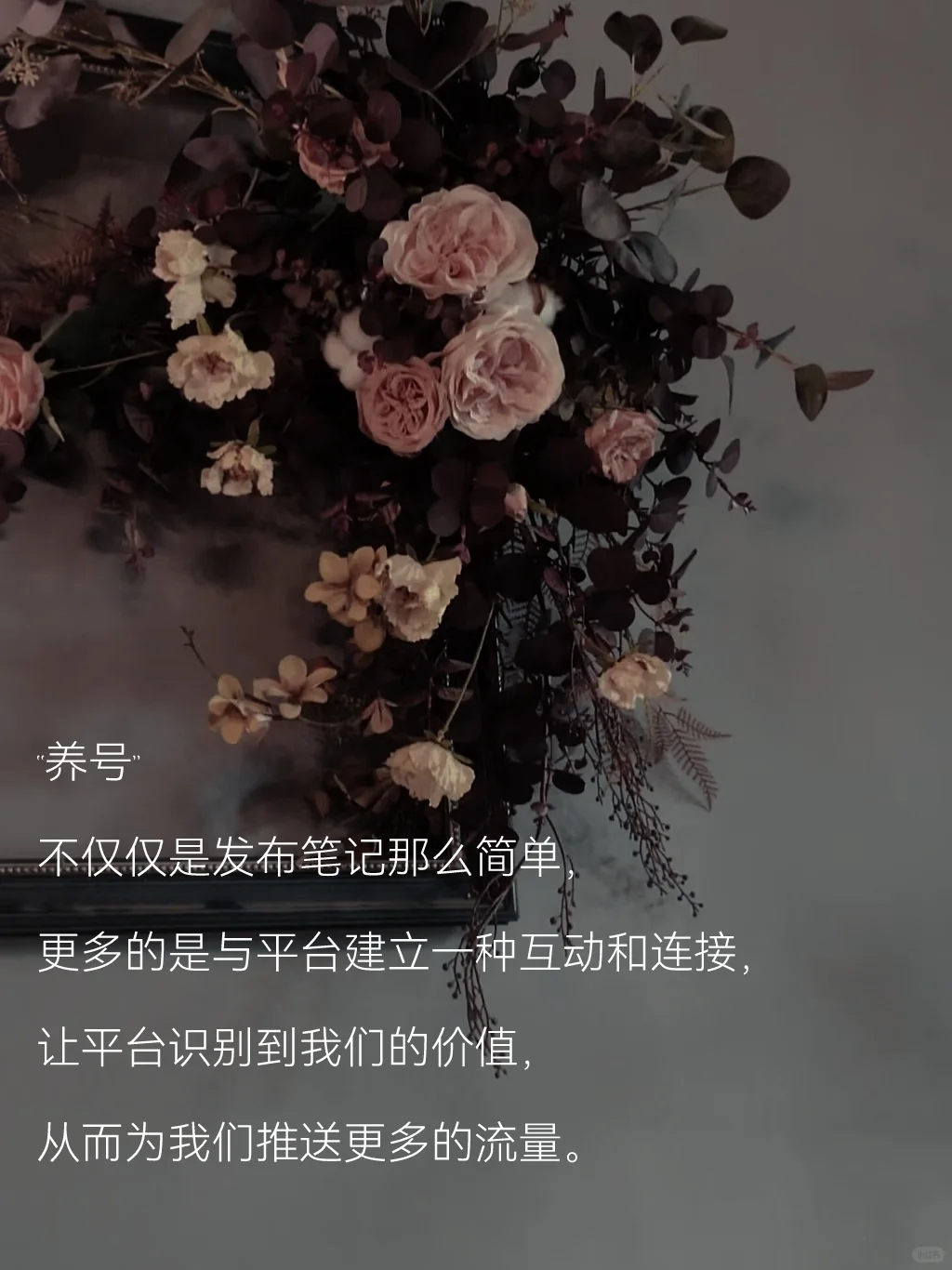 新人读书博主如何正确养号