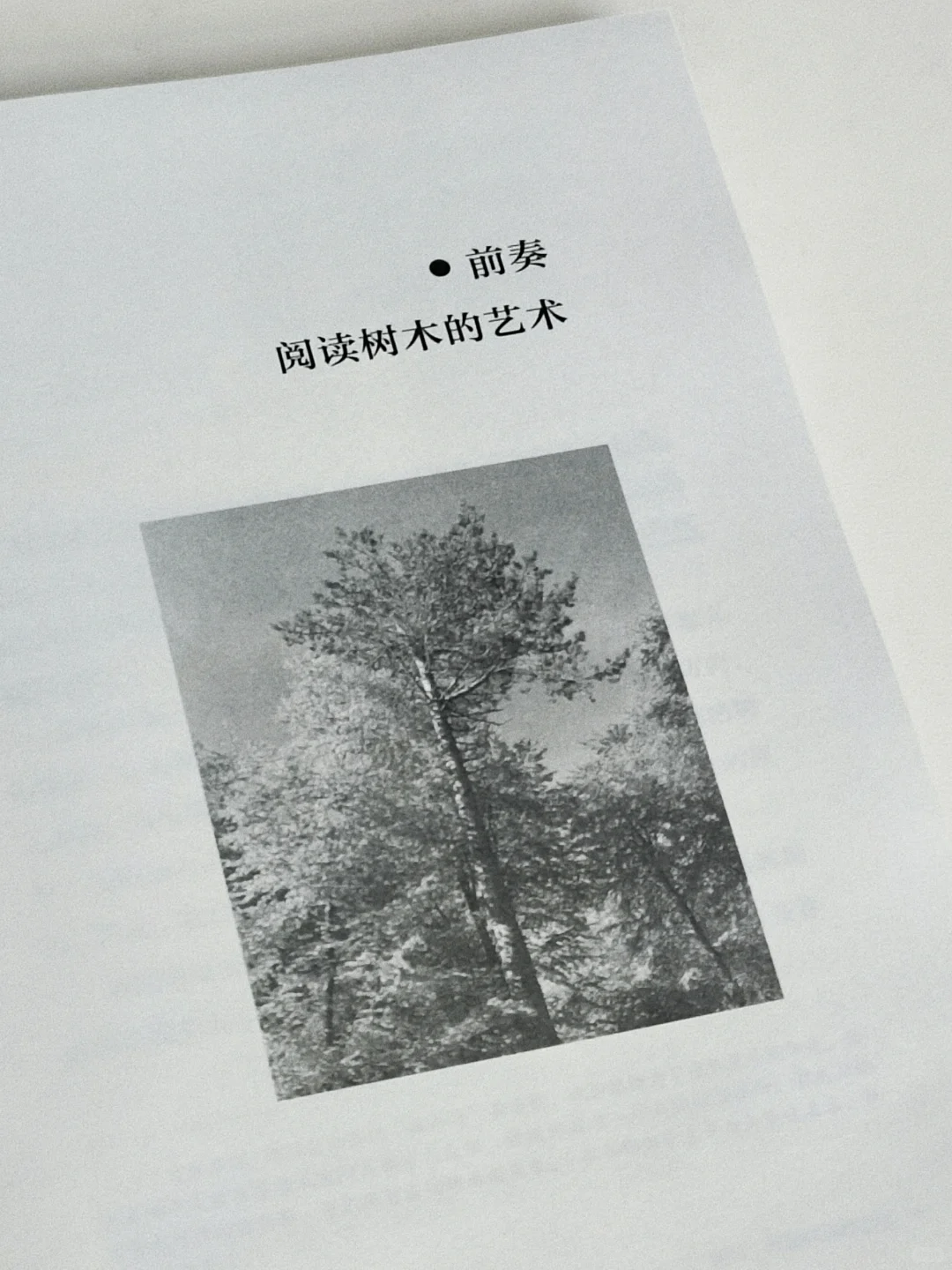 “树是绿色的湖泊。”