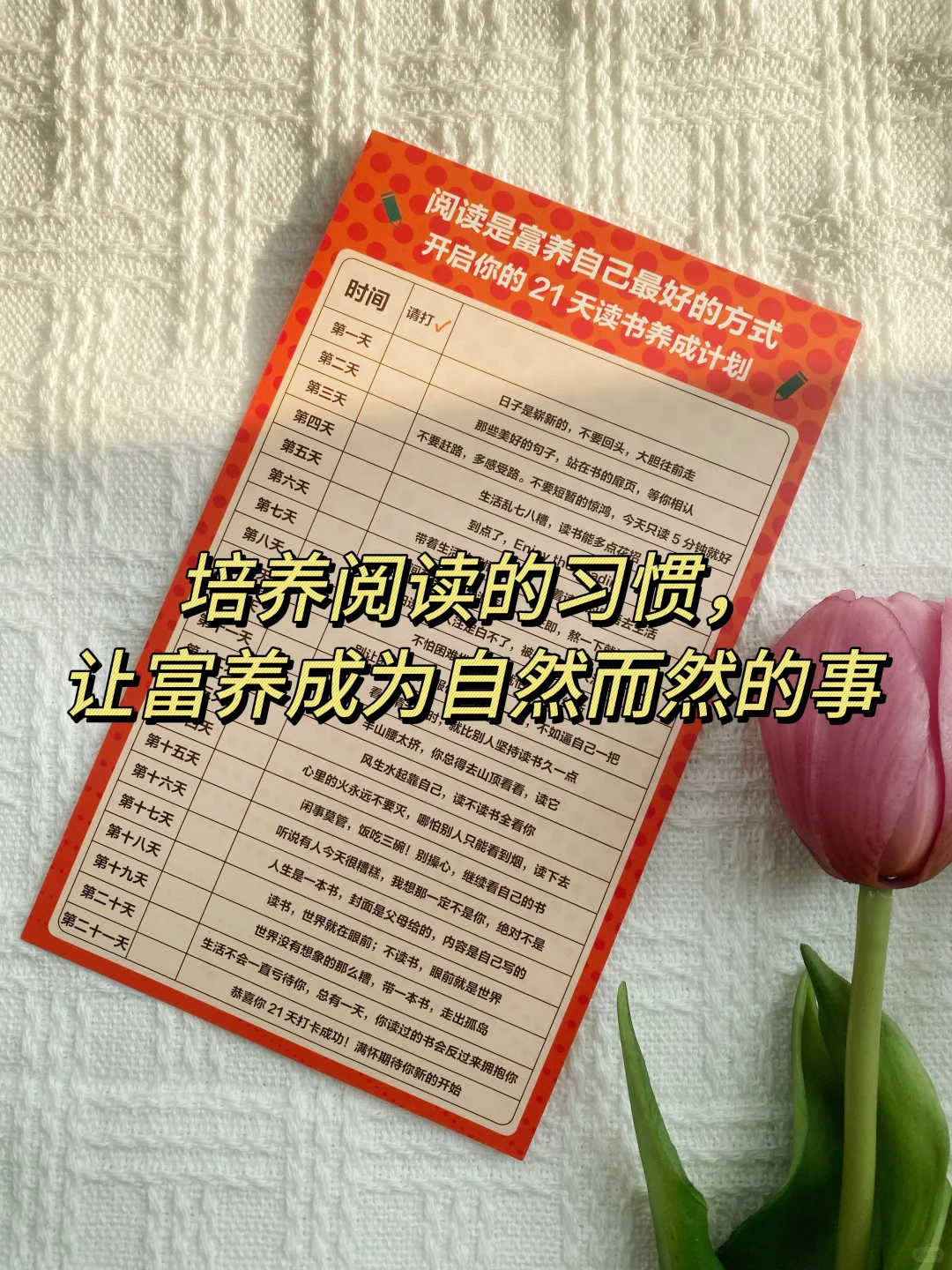 布局2025，开启“富养计划”