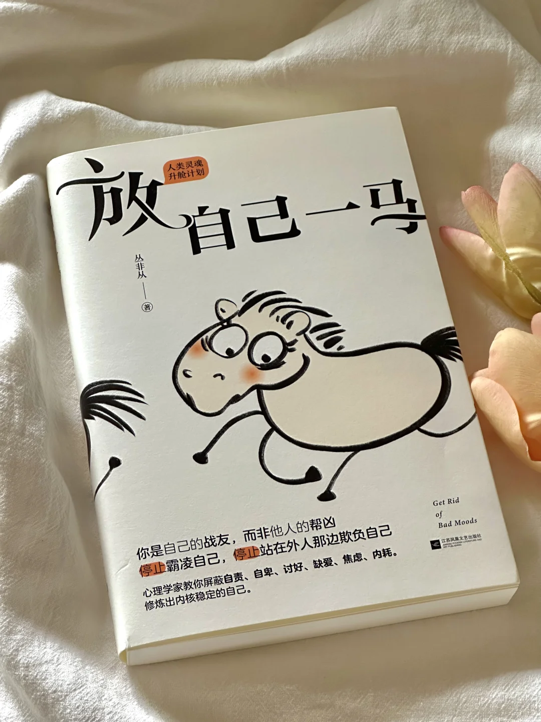 怎么会有这么治愈的书啊啊！我真的太爱了💛