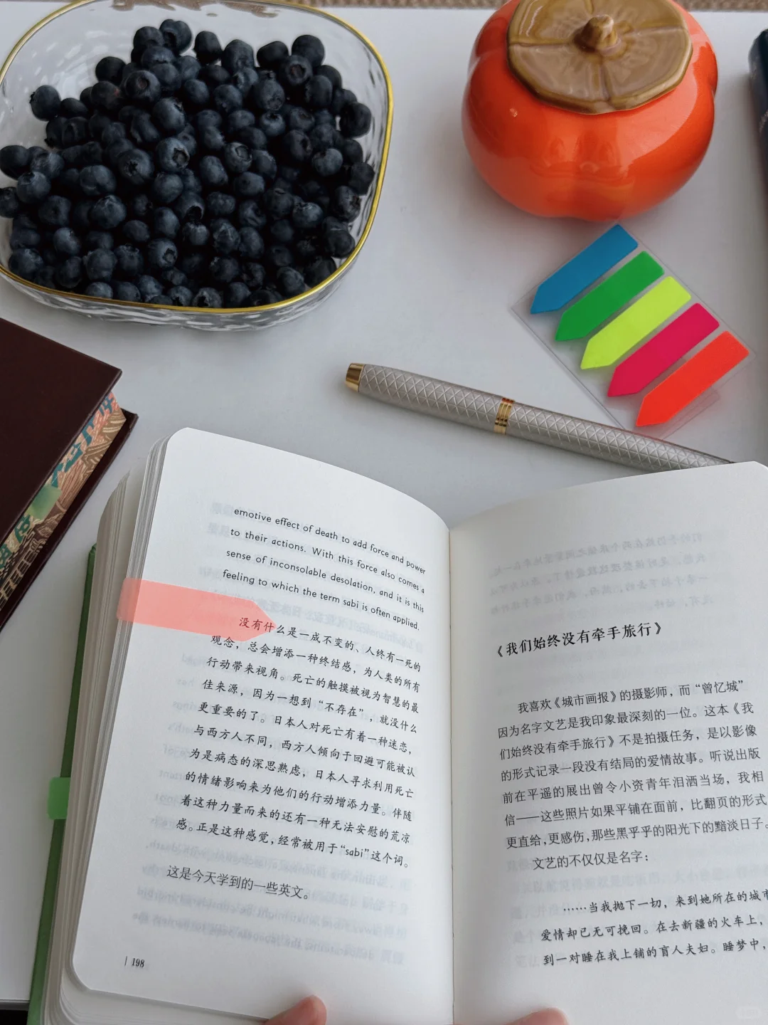 我不停的读书，只为了理解我的痛苦