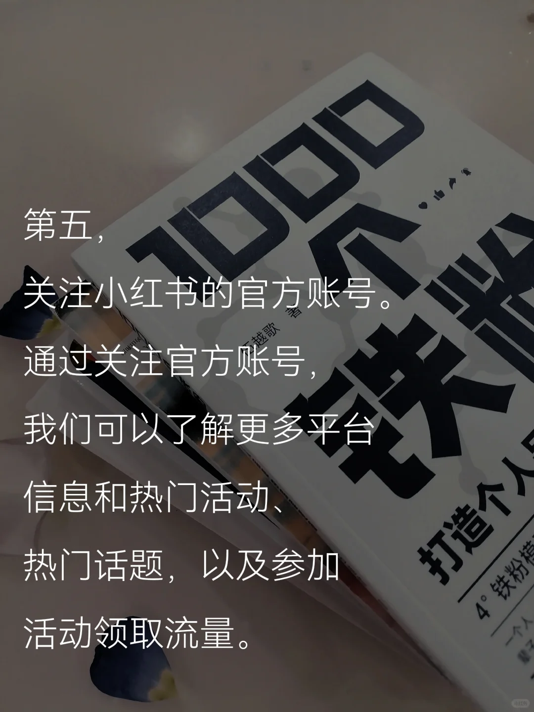 新人读书博主如何正确养号