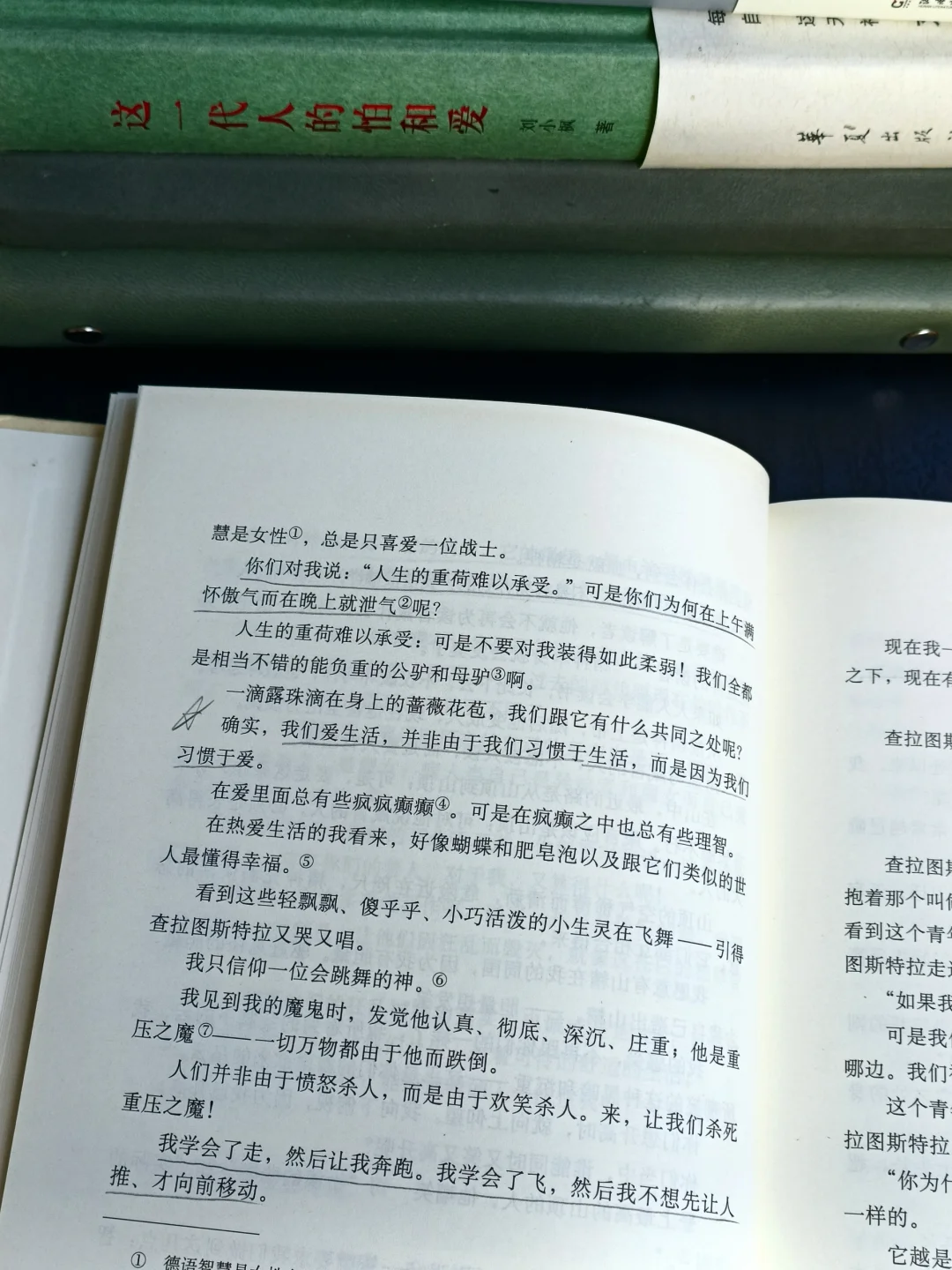早起、阅读，不辜负生活，也不辜负阳光