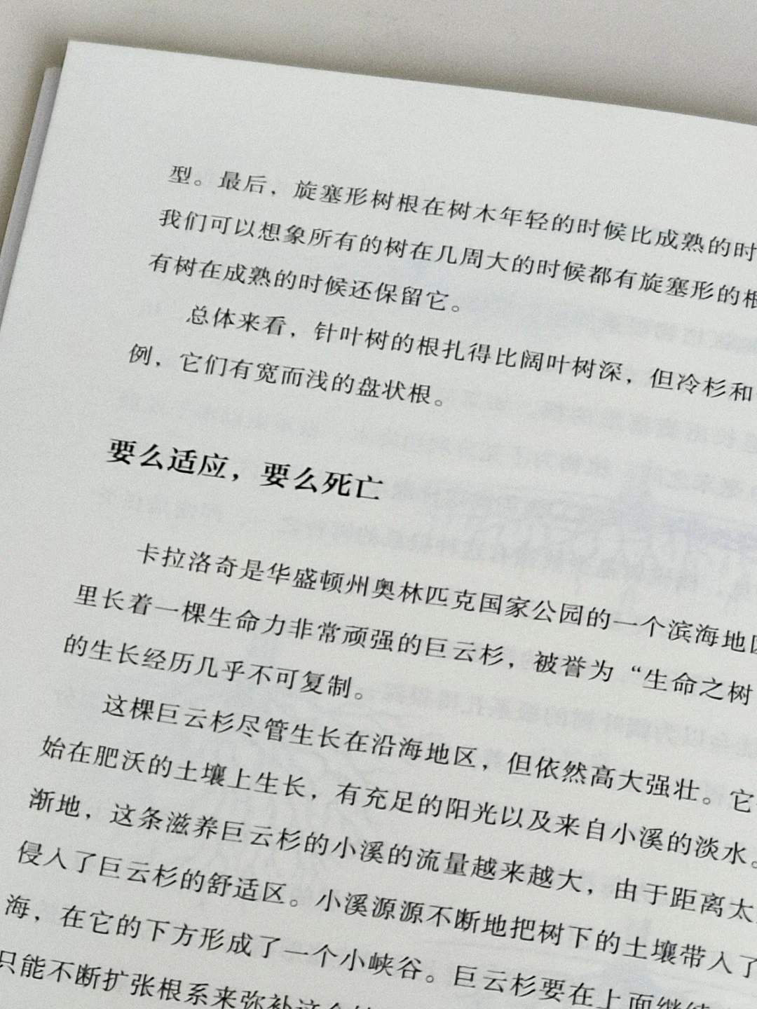 “树是绿色的湖泊。”