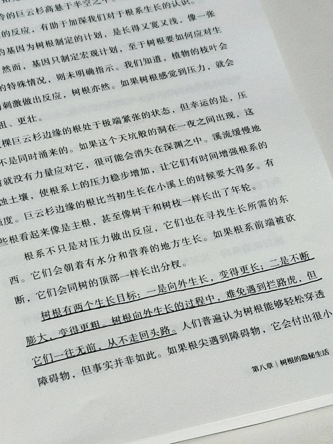 “树是绿色的湖泊。”