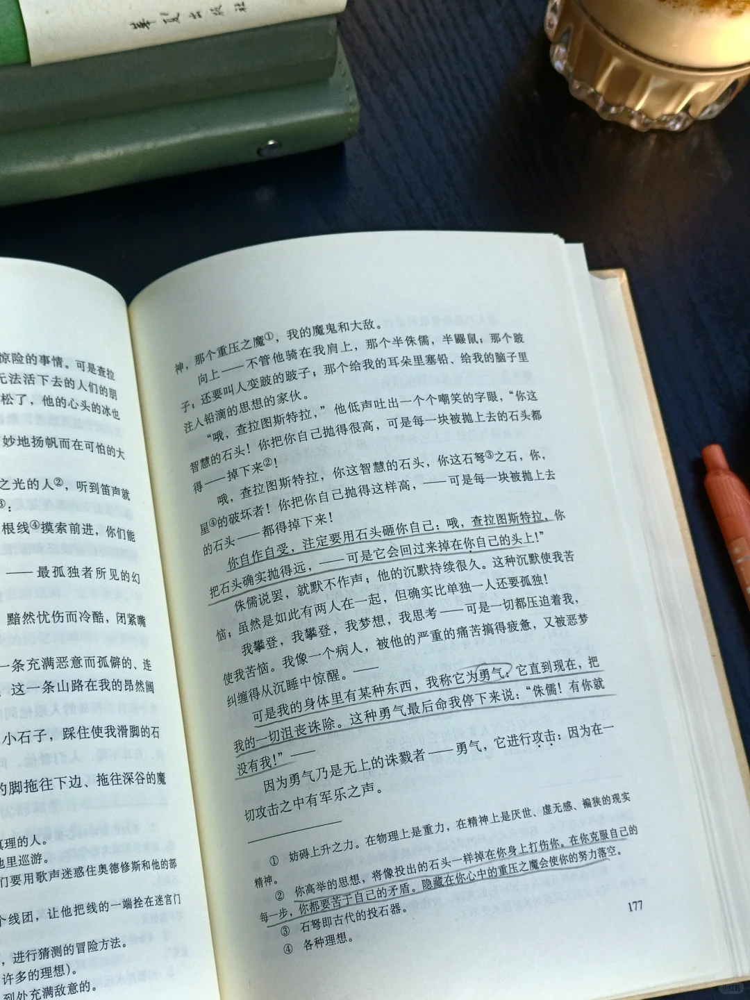 早起、阅读，不辜负生活，也不辜负阳光