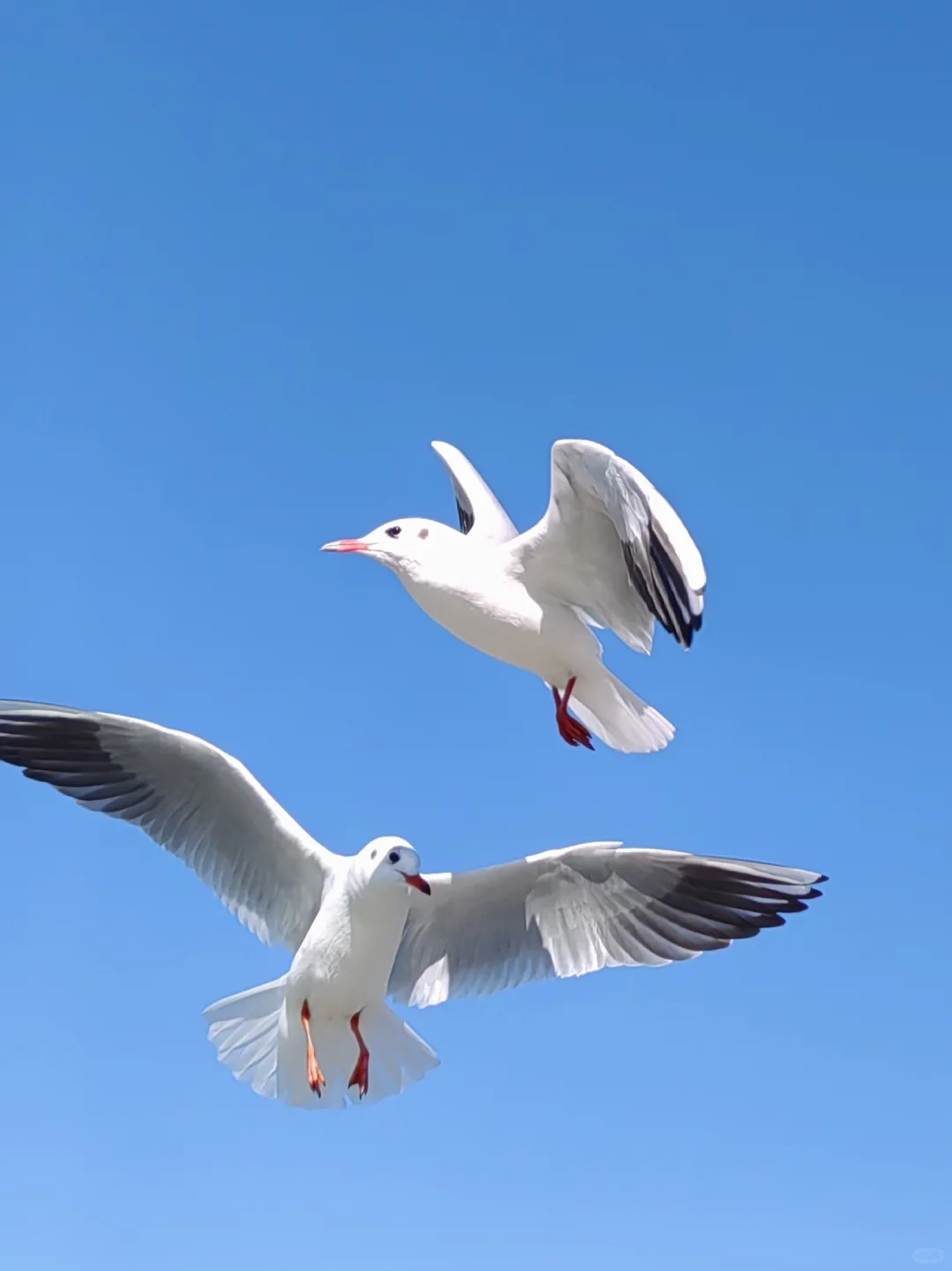 早起 运动 读书, 才是最低成本的进步方式