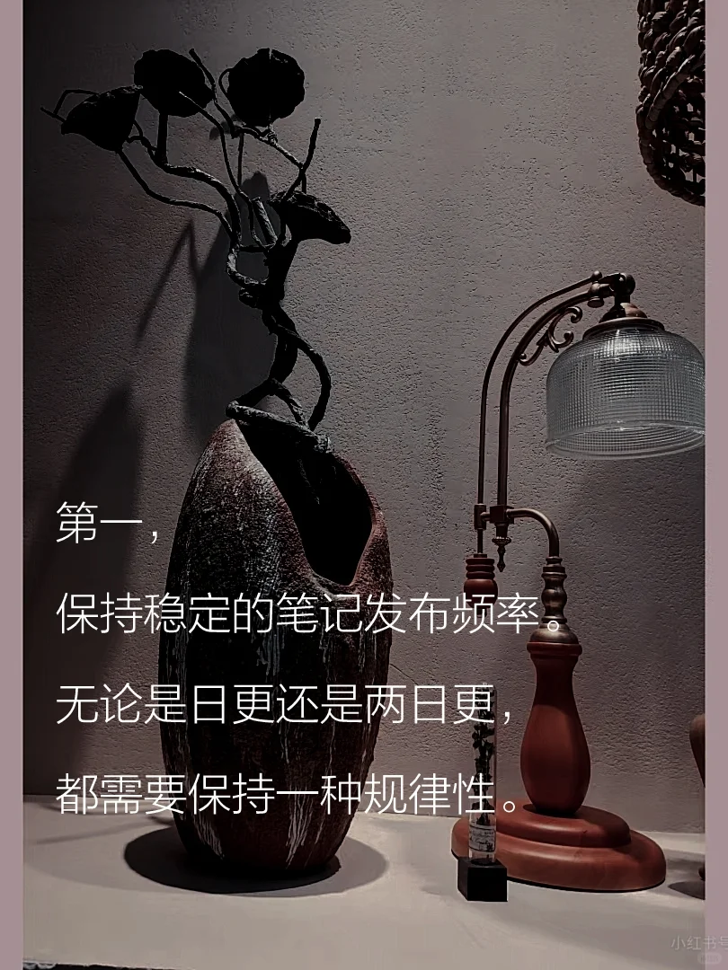 新人读书博主如何正确养号