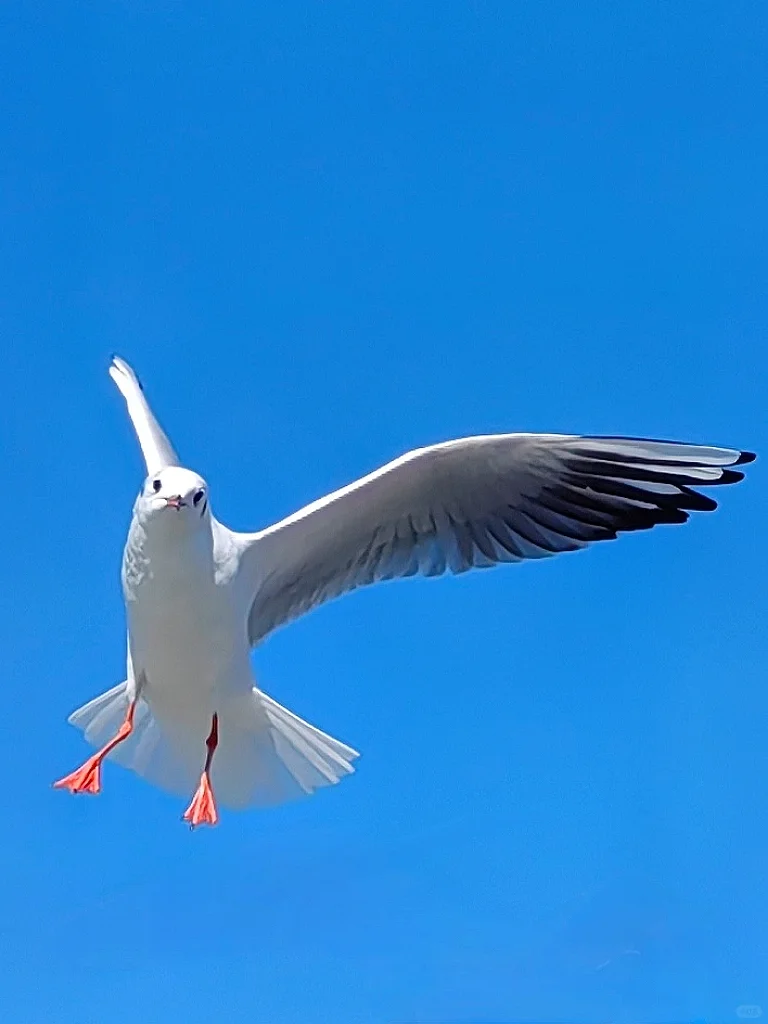 早起 运动 读书, 才是最低成本的进步方式