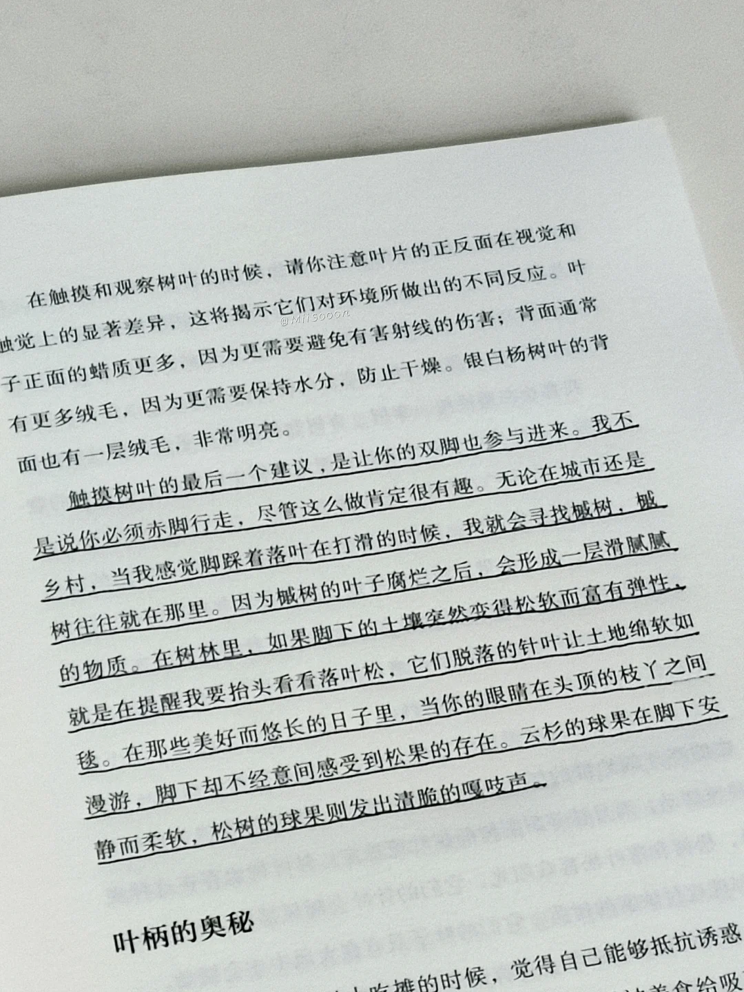 “树是绿色的湖泊。”