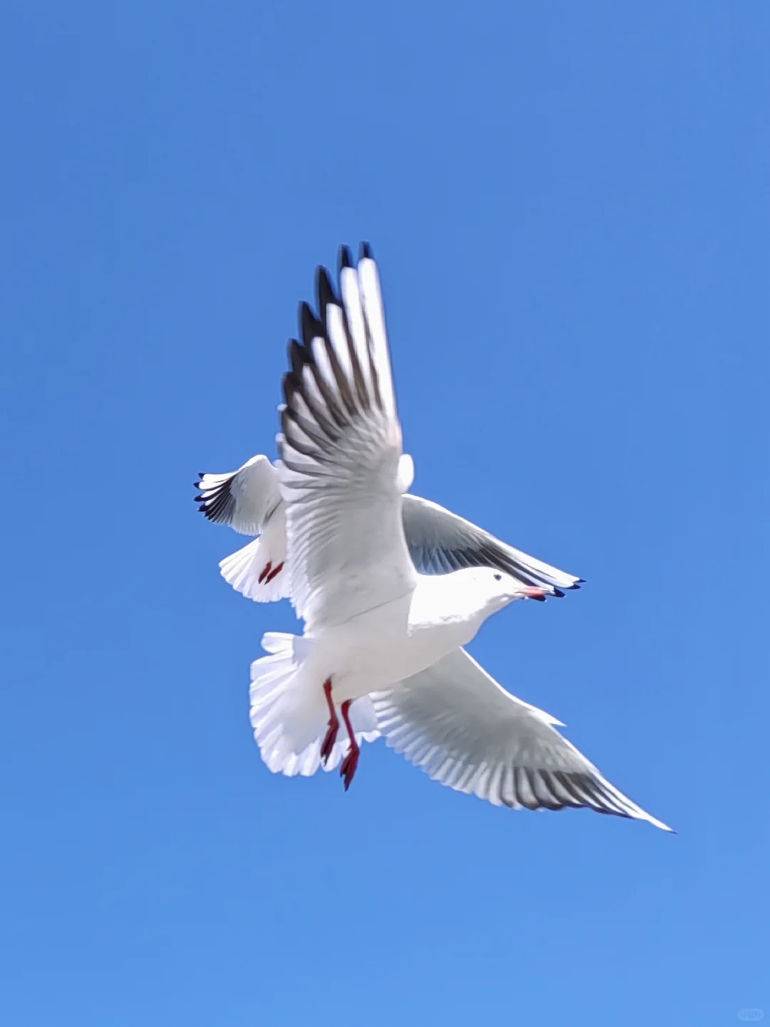 早起 运动 读书, 才是最低成本的进步方式