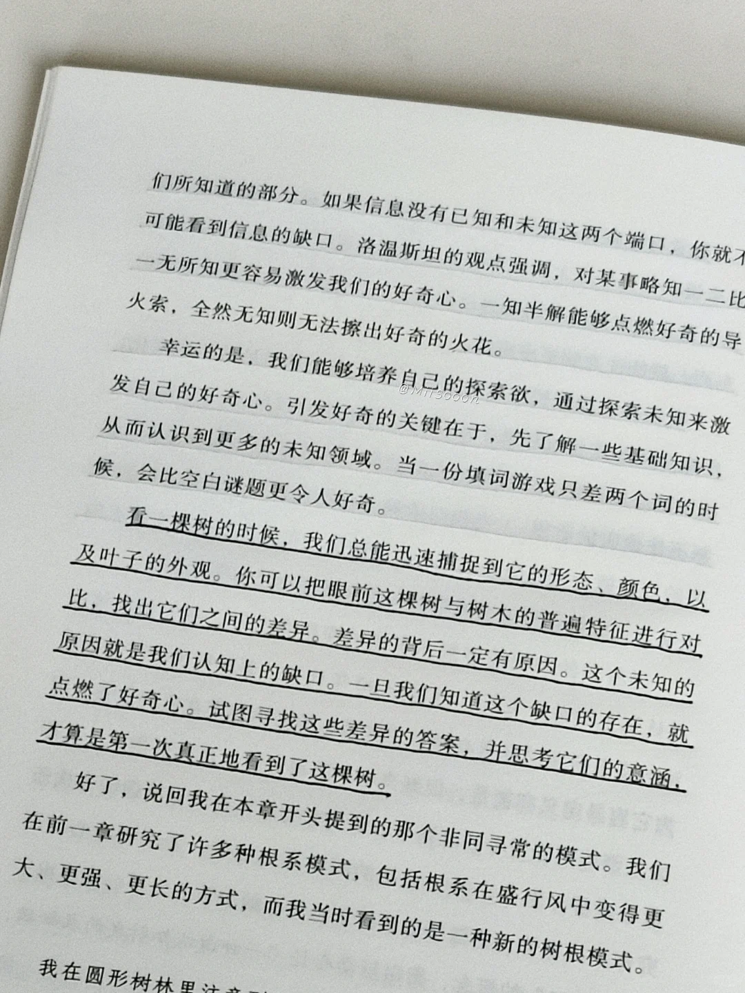 “树是绿色的湖泊。”
