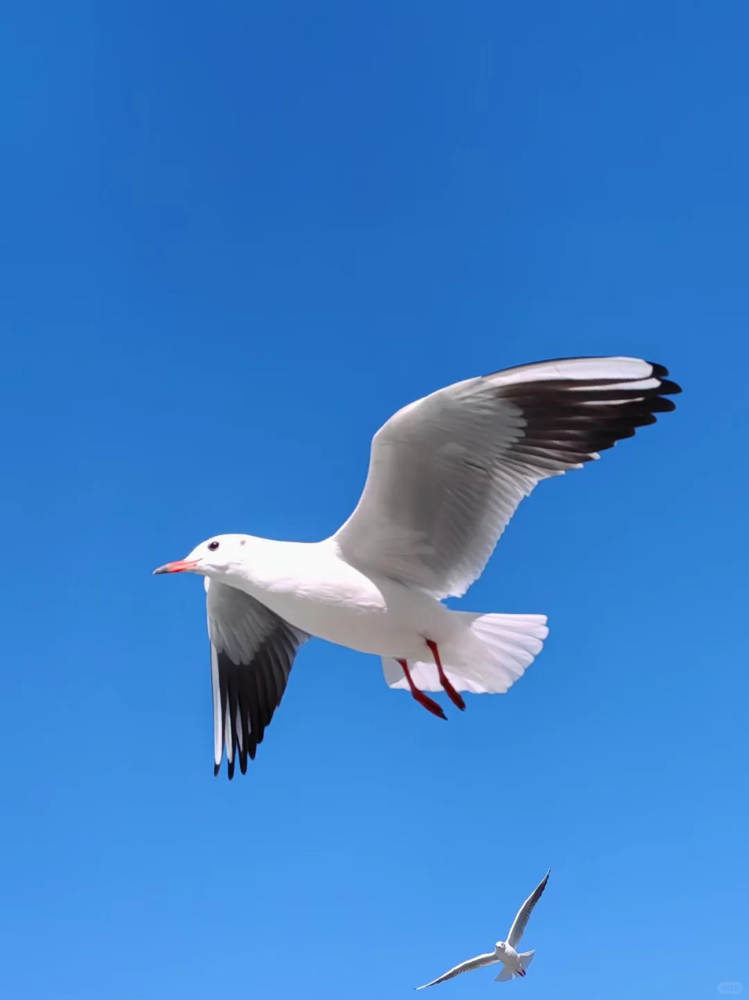 早起 运动 读书, 才是最低成本的进步方式