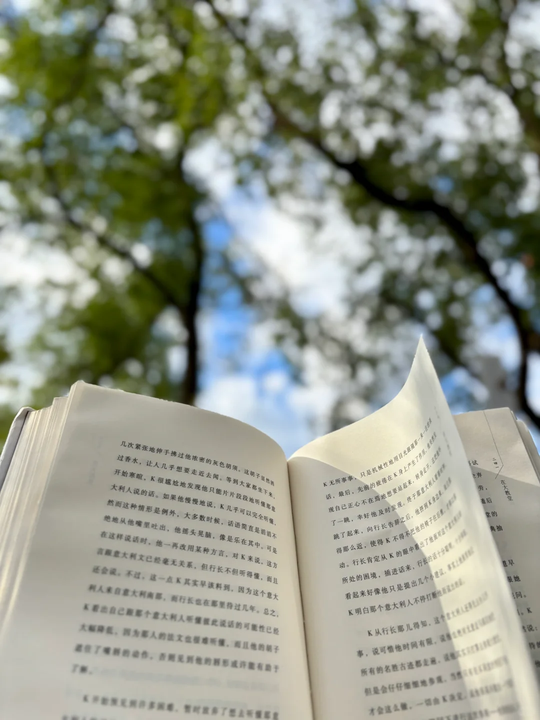 我发现爱看书的女生，活得都挺松弛的