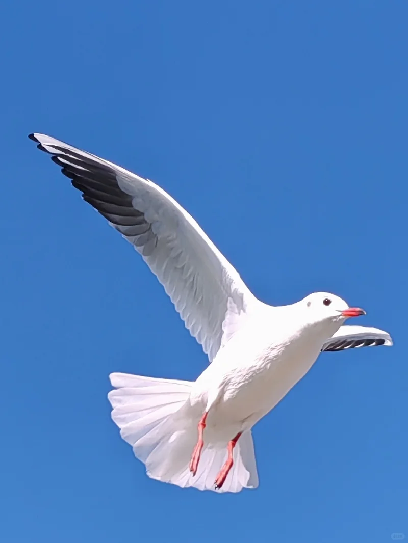 早起 运动 读书, 才是最低成本的进步方式