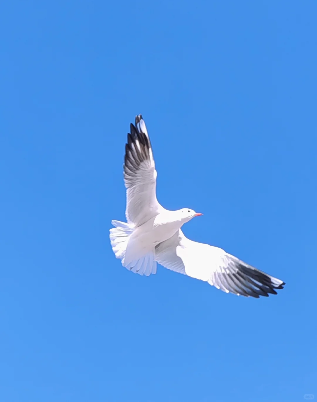 早起 运动 读书, 才是最低成本的进步方式