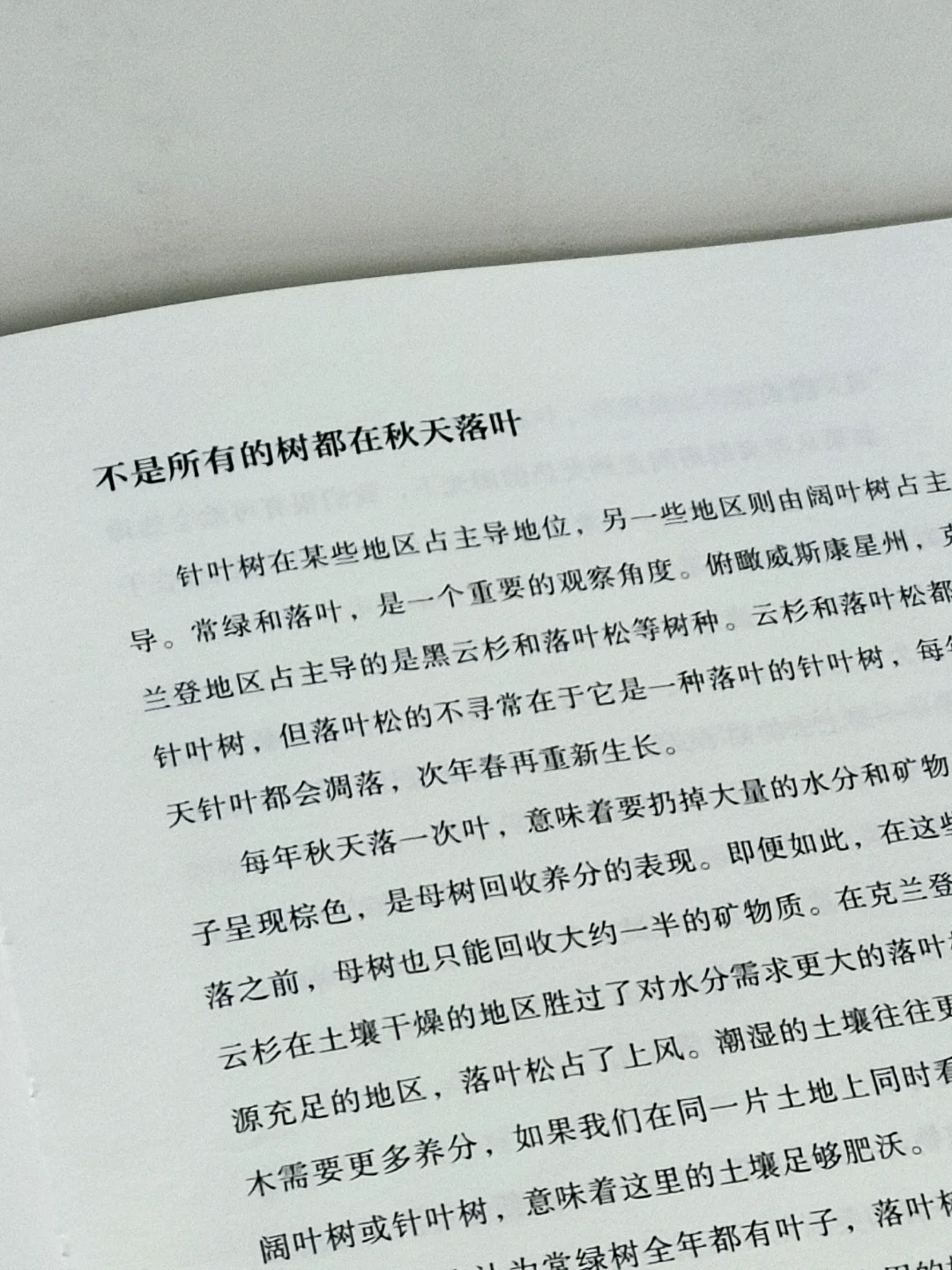 “树是绿色的湖泊。”