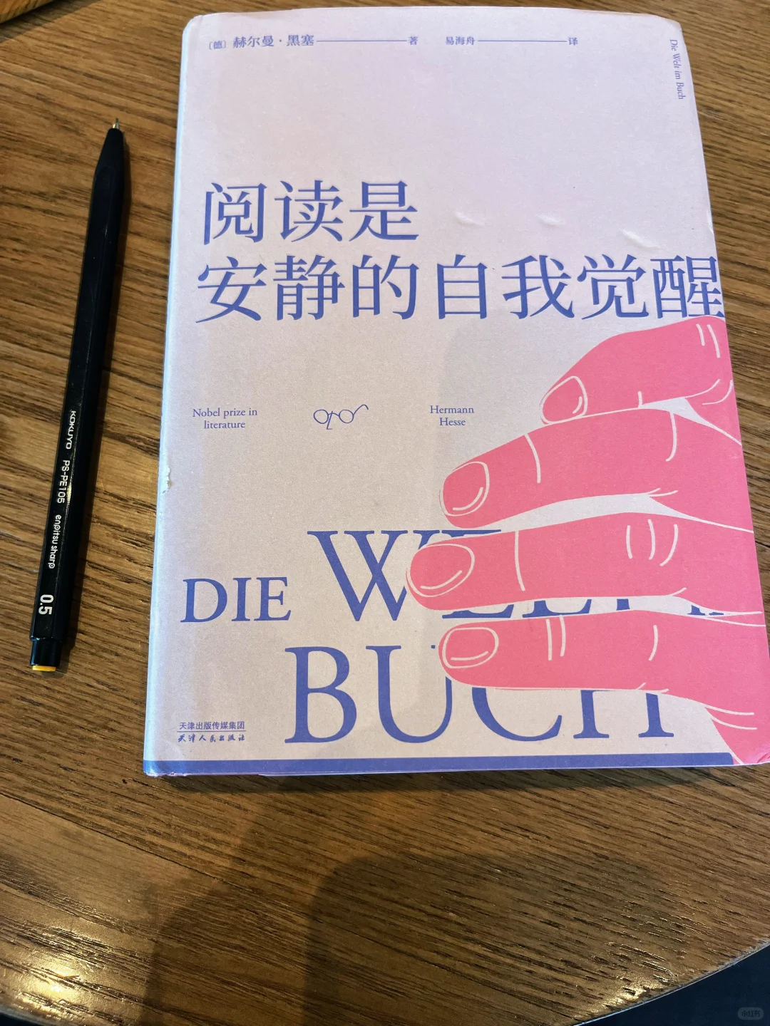 谢谢黑塞！治好了我的阅读焦虑