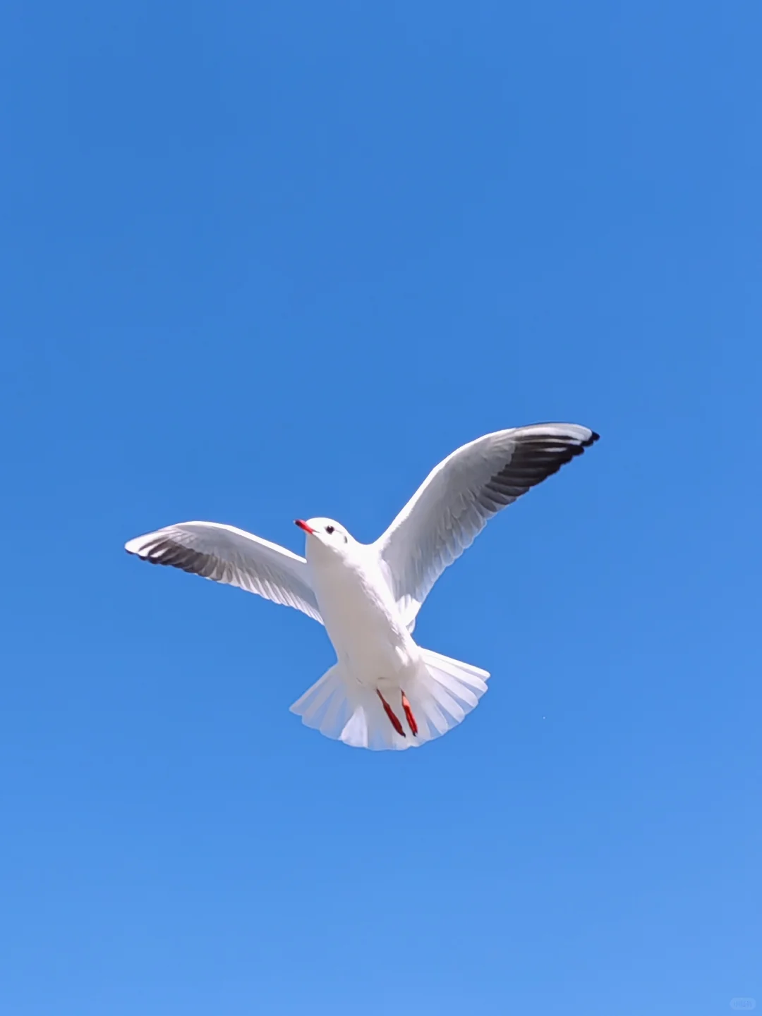 早起 运动 读书, 才是最低成本的进步方式