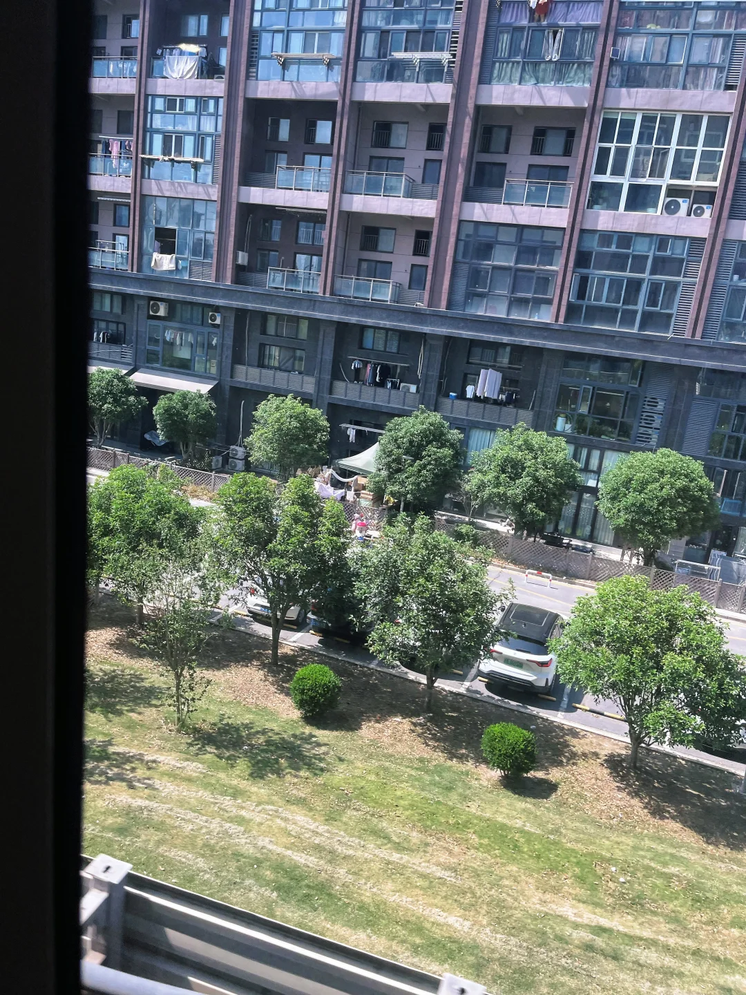 谢谢黑塞！治好了我的阅读焦虑