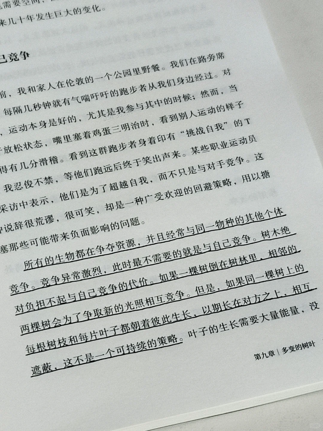 “树是绿色的湖泊。”