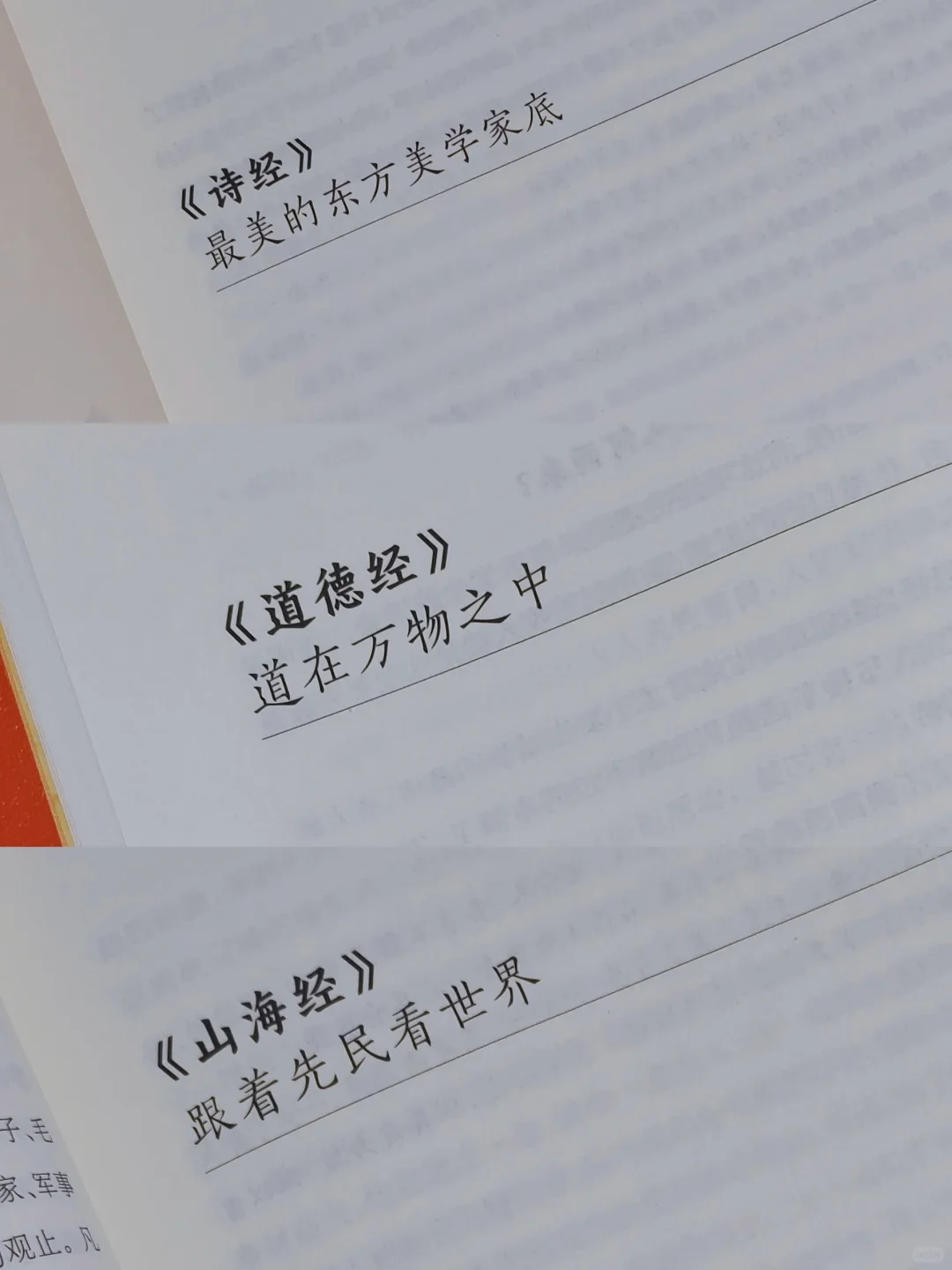 玫瑰的故事：学习就是为了自由！