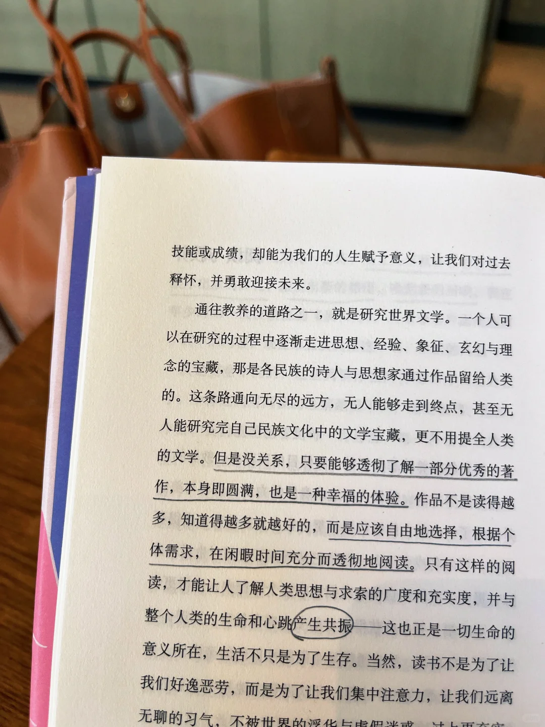 谢谢黑塞！治好了我的阅读焦虑