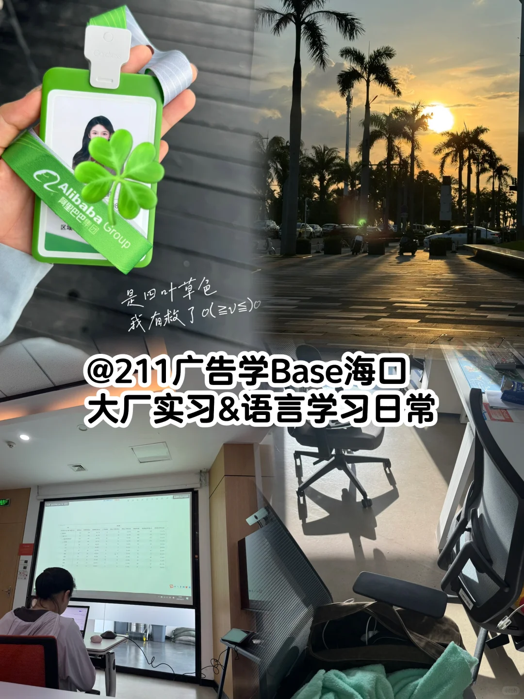 出岛读书211黄花闺女以台风之势回归…