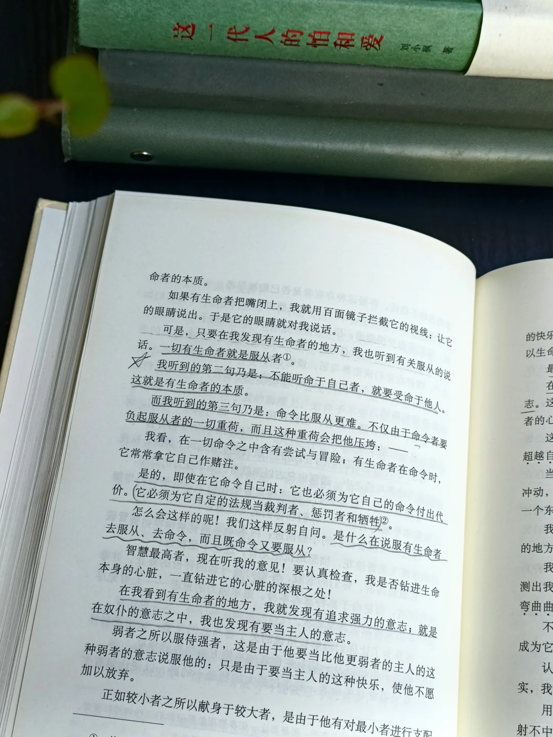 早起、阅读，不辜负生活，也不辜负阳光