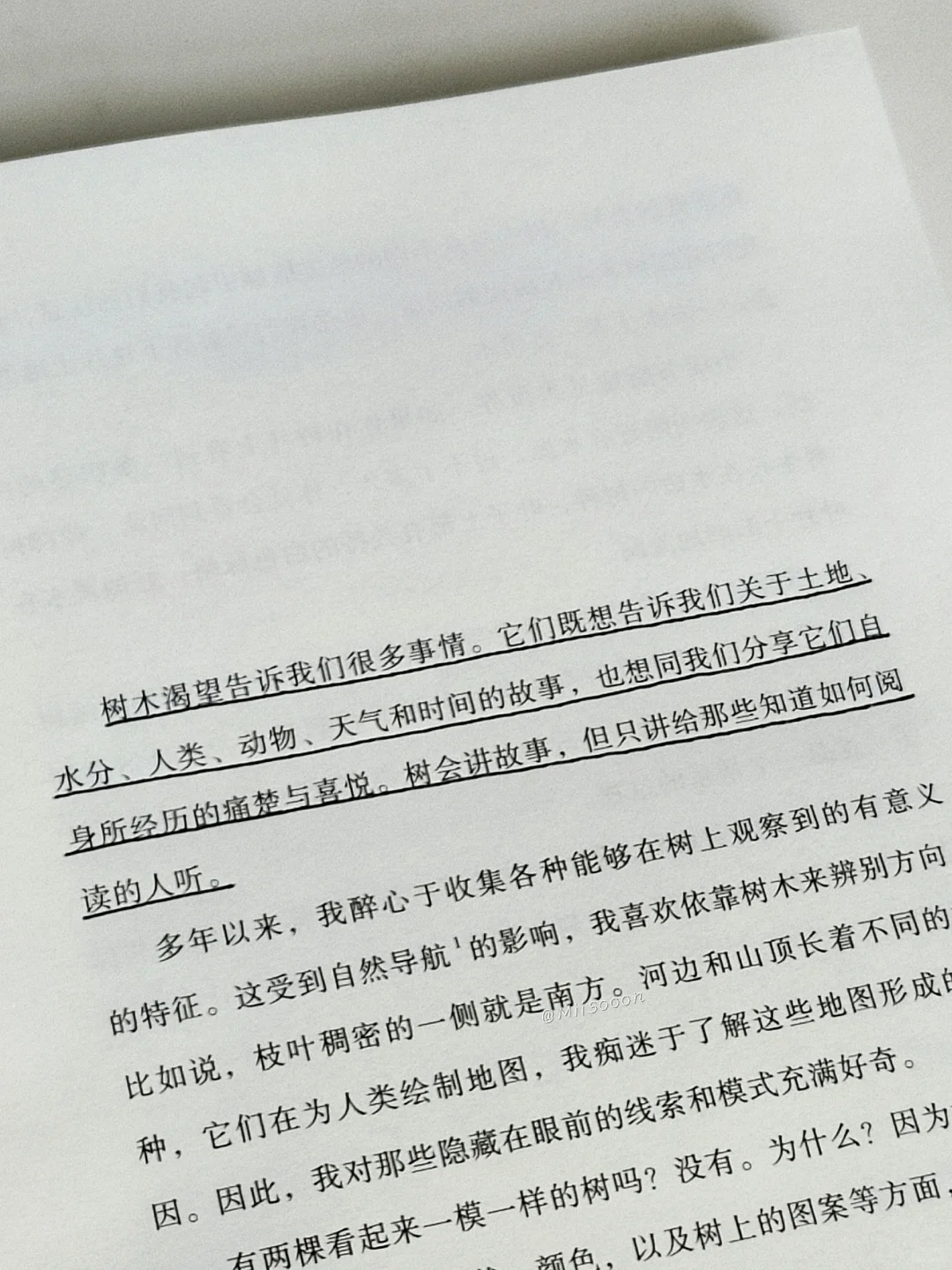 “树是绿色的湖泊。”